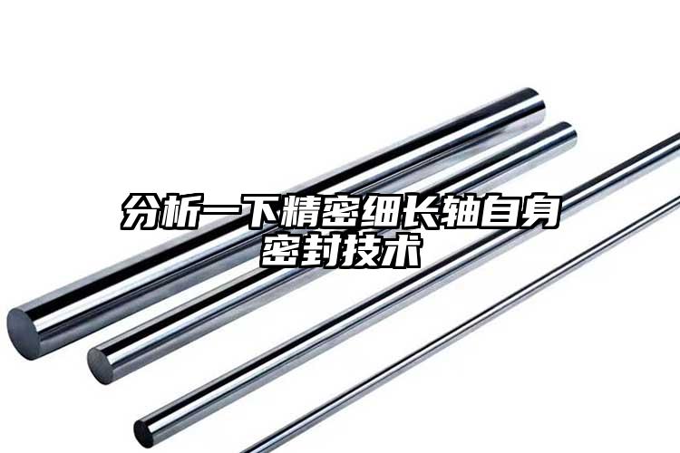 分析一下精密細長軸自身密封技術
